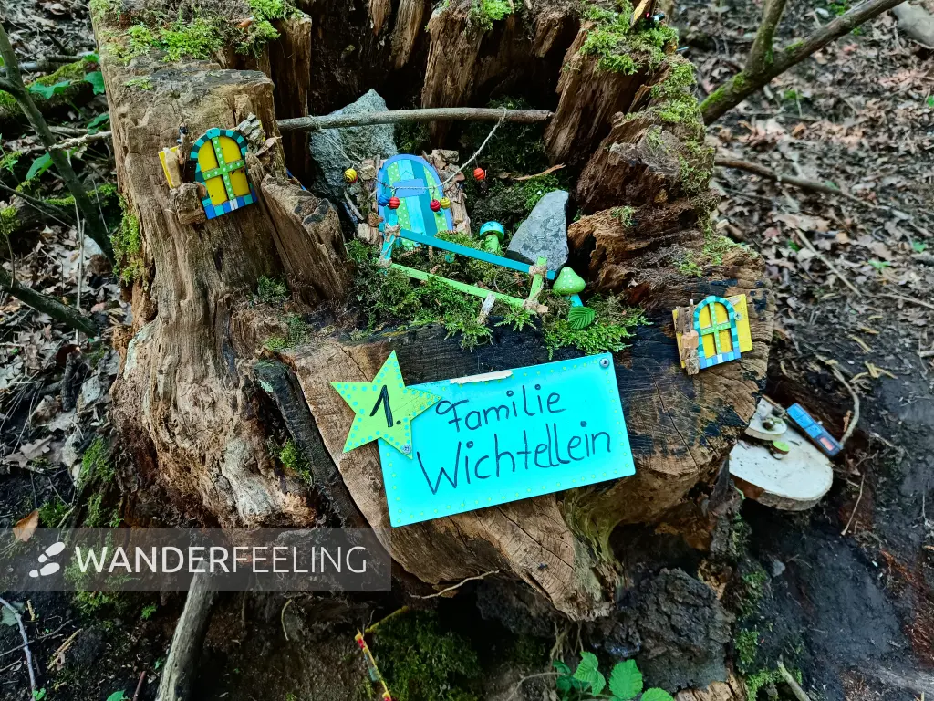 202604230-01 - Waldwichtel im Düsseltal, Bergisches Land, Nordrhein-Westfalen, Deutschland