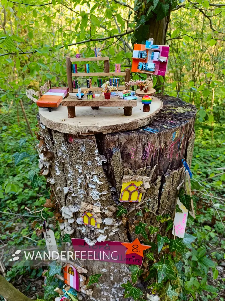 202604230-08 - Waldwichtel im Düsseltal, Bergisches Land, Nordrhein-Westfalen, Deutschland