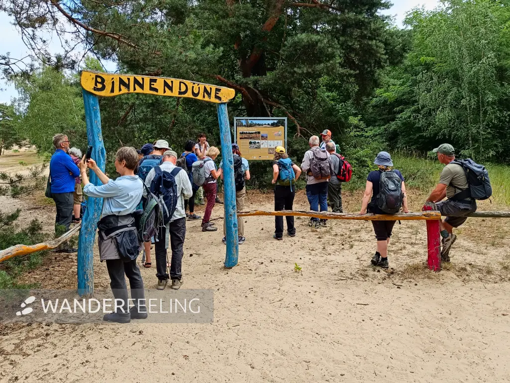 202607040-10 - Wandergruppe an der Binnendüne Waltersberge bei Storkow, Seenland Oder-Spree, Brandenburg, Deutschland