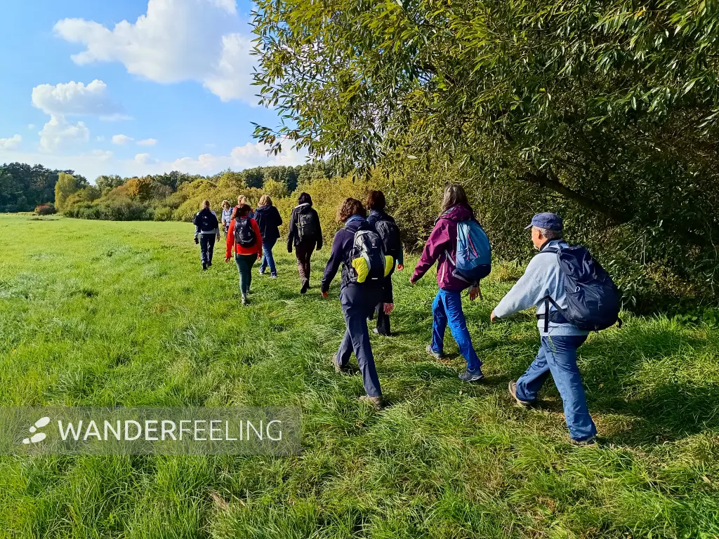202510030-21 - Wandergruppe auf den Saumwegwiesen bei Hohen Neuendorf, Barnimer Land, Brandenburg, Deutschland