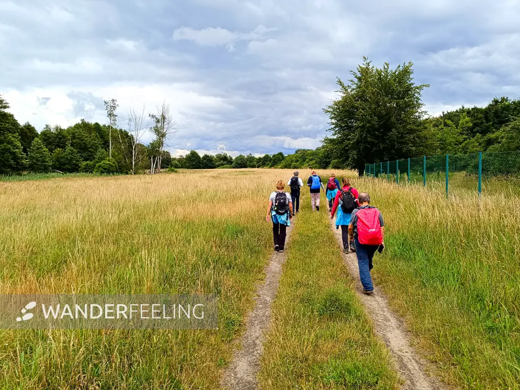 202406150-24 - Wandergruppe auf einem Feldweg bei Wildau, Dahme-Seenland, Brandenburg, Deutschland