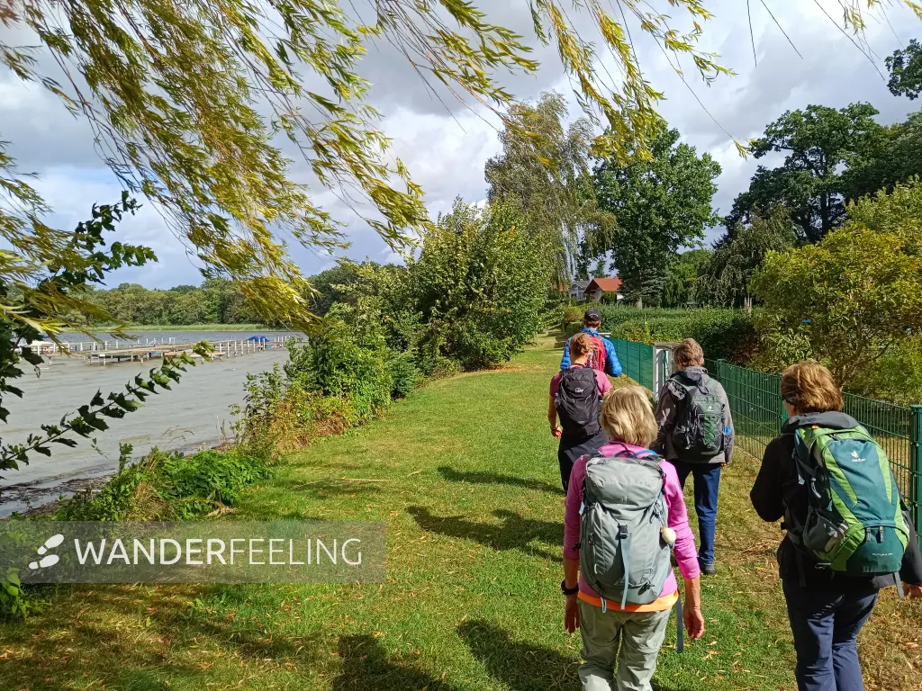 202609050-12 - Wandergruppe bei Gnewikow, Ruppiner Seenland, Brandenburg, Deutschland