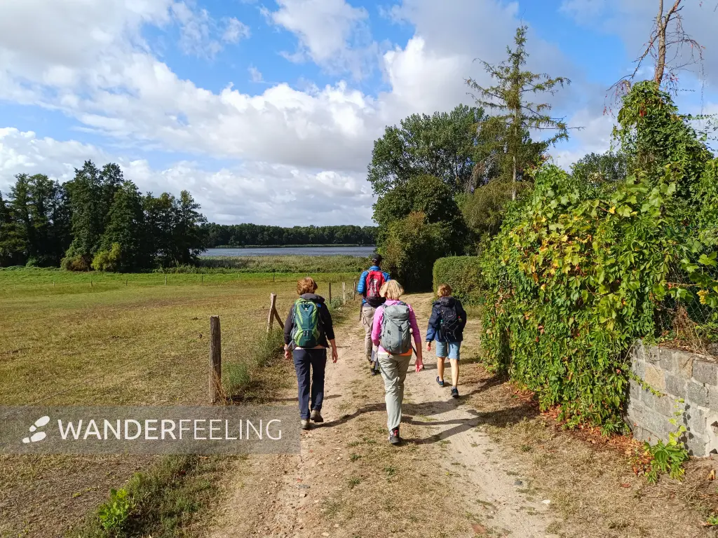 202609050-06 - Wandergruppe bei Seehof, Ruppiner Seenland, Brandenburg, Deutschland
