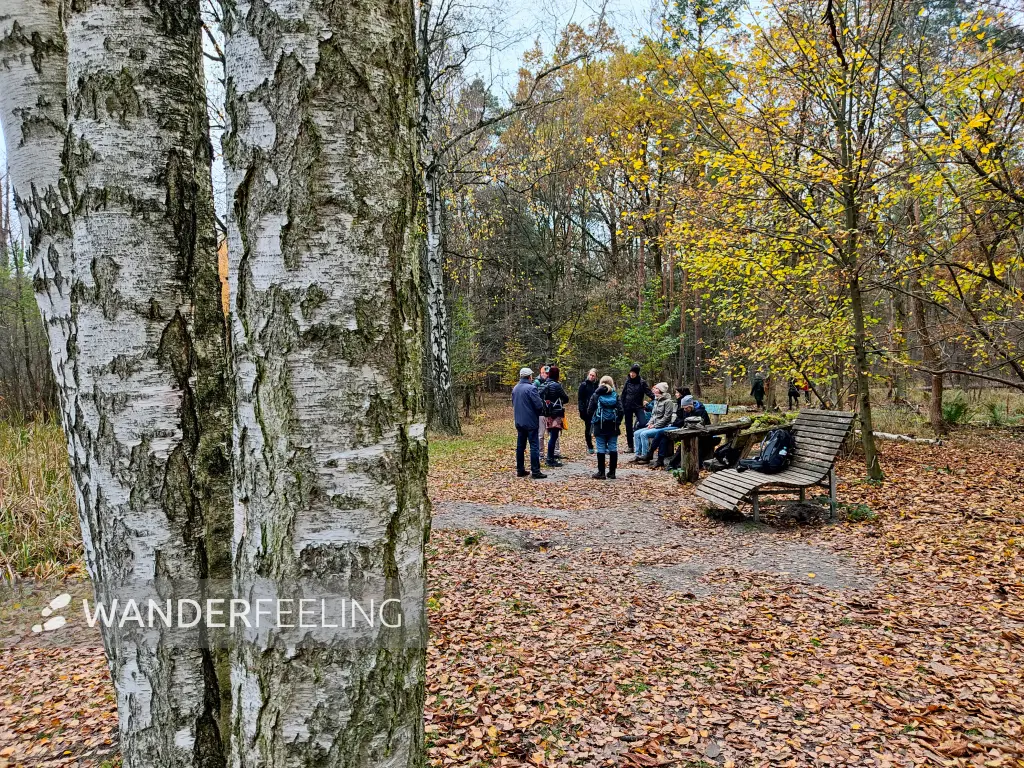 202311180-24 - Wandergruppe im Spandauer Forst, Berlin, Deutschland