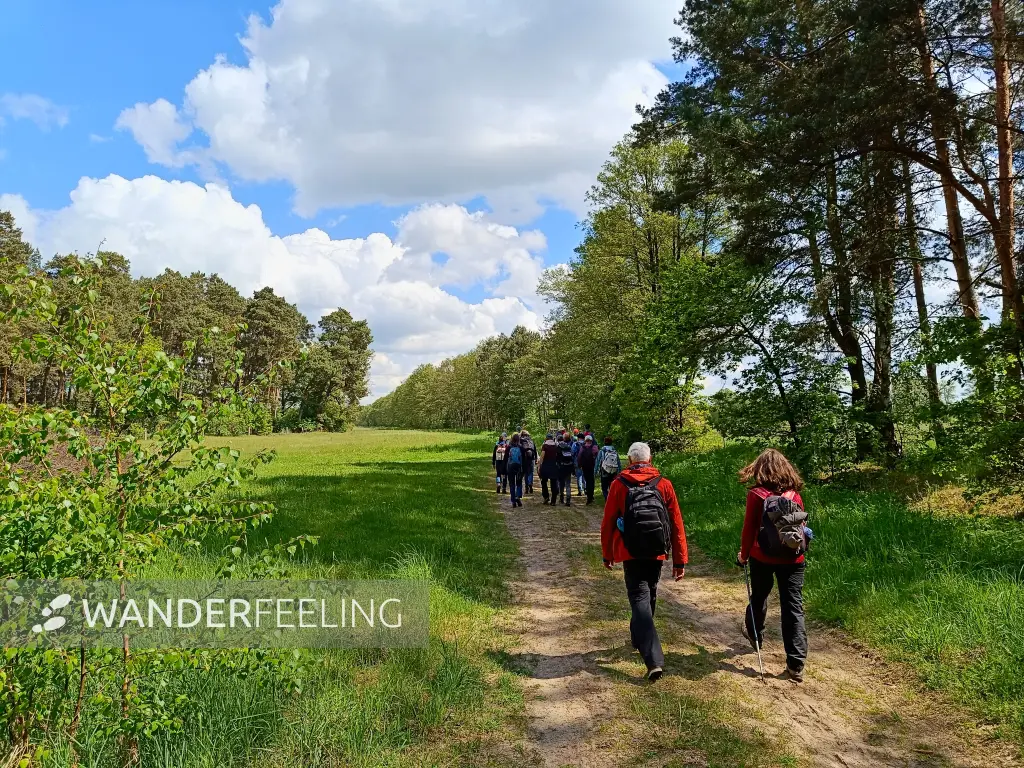202605160-05 - Wandergruppe im Unterspreewald, Spreewald, Brandenburg, Deutschland