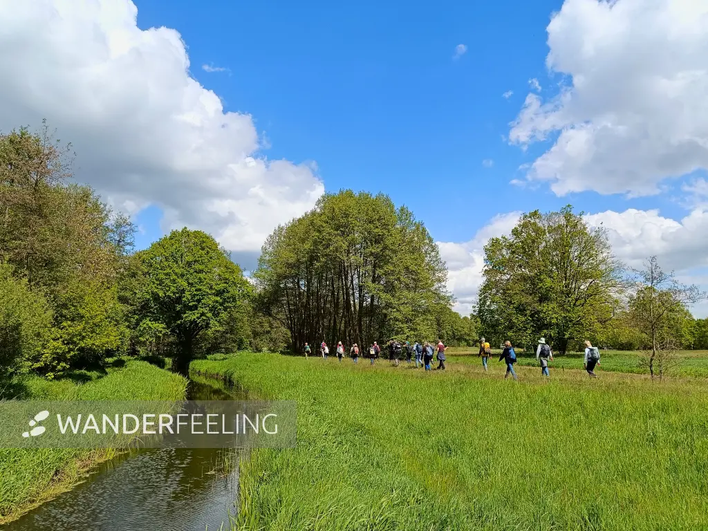 202605160-10 - Wandergruppe im Unterspreewald, Spreewald, Brandenburg, Deutschland