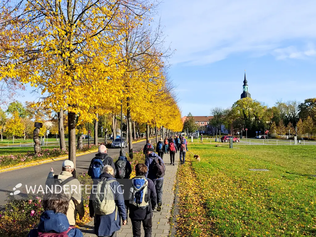 202311040-02 - Wandergruppe in Lübbenau, Spreewald, Brandenburg, Deutschland