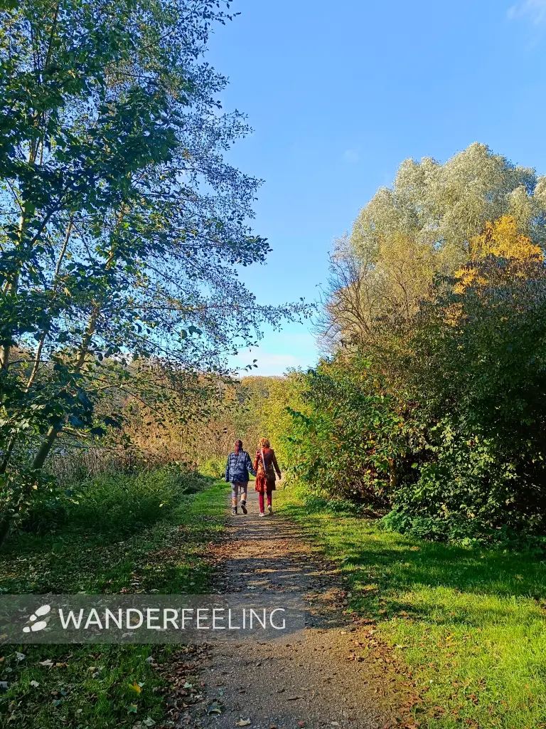 202510210-40 - Wanderweg am Mühlenteich in Neubrandenburg, Mecklenburgische Seenplatte, Mecklenburg-Vorpommern, Deutschland
