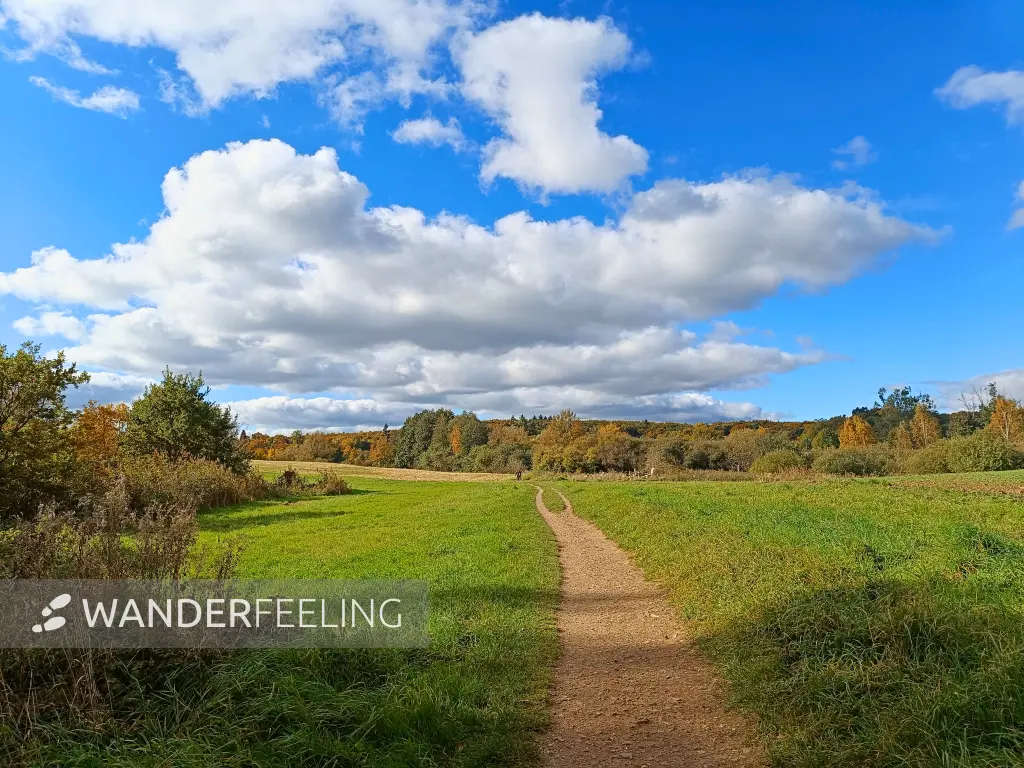 202510180-16 - Wanderweg am Tiefwarensee bei Amsee, Mecklenburgische Seenplatte, Mecklenburg-Vorpommern, Deutschland