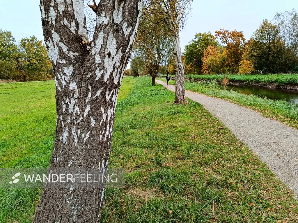 202410210-03 - Wanderweg an der Luhe bei Winsen (Luhe), Lüneburger Heide, Niedersachsen, Deutschland