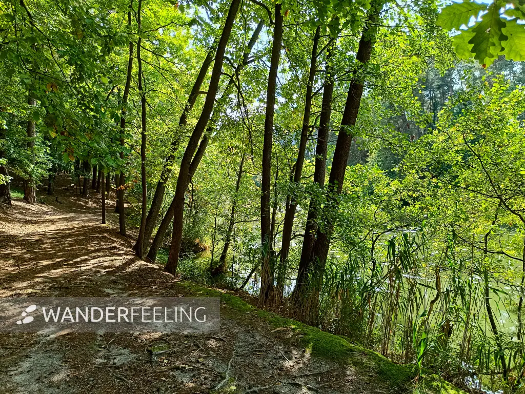 202509210-10 - Wanderweg an der Schlaube im Schlaubetal, Seenland Oder-Spree, Brandenburg, Deutschland