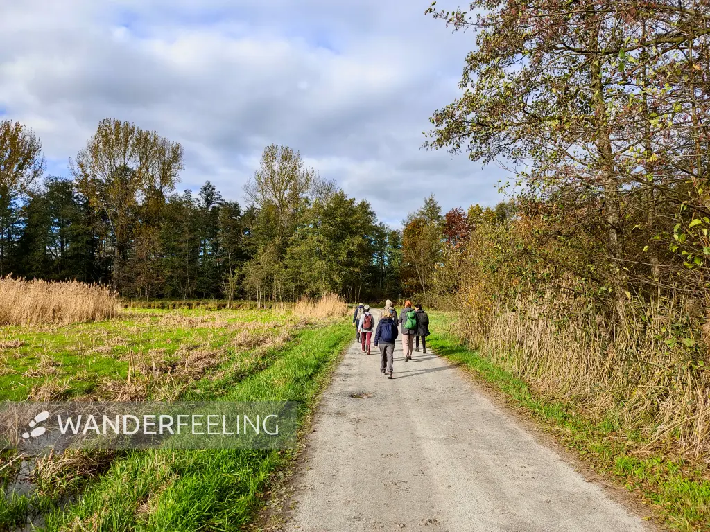 202311040-30 - Wanderweg bei Boblitz, Spreewald, Brandenburg, Deutschland