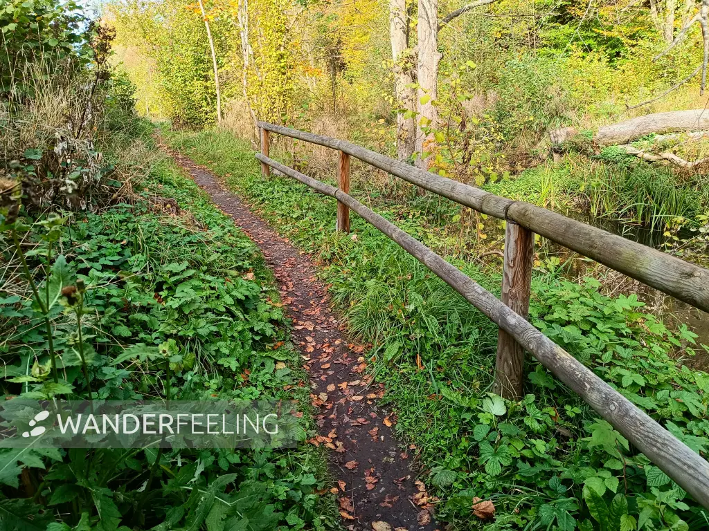 202510210-39 - Wanderweg im Lindetal bei Neubrandenburg, Mecklenburgische Seenplatte, Mecklenburg-Vorpommern, Deutschland