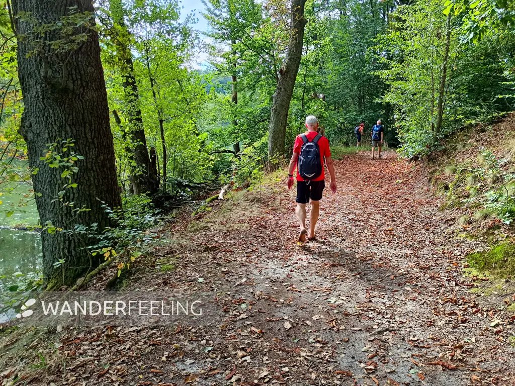 202509210-08 - Wanderweg im Schlaubetal, Seenland Oder-Spree, Brandenburg, Deutschland