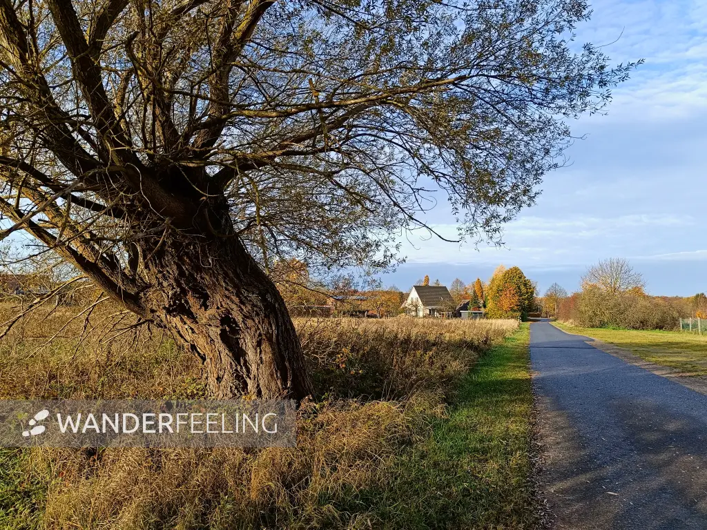 202511040-01 - Wanderweg nach Carpin, Mecklenburgische Seenplatte, Mecklenburg-Vorpommern, Deutschland