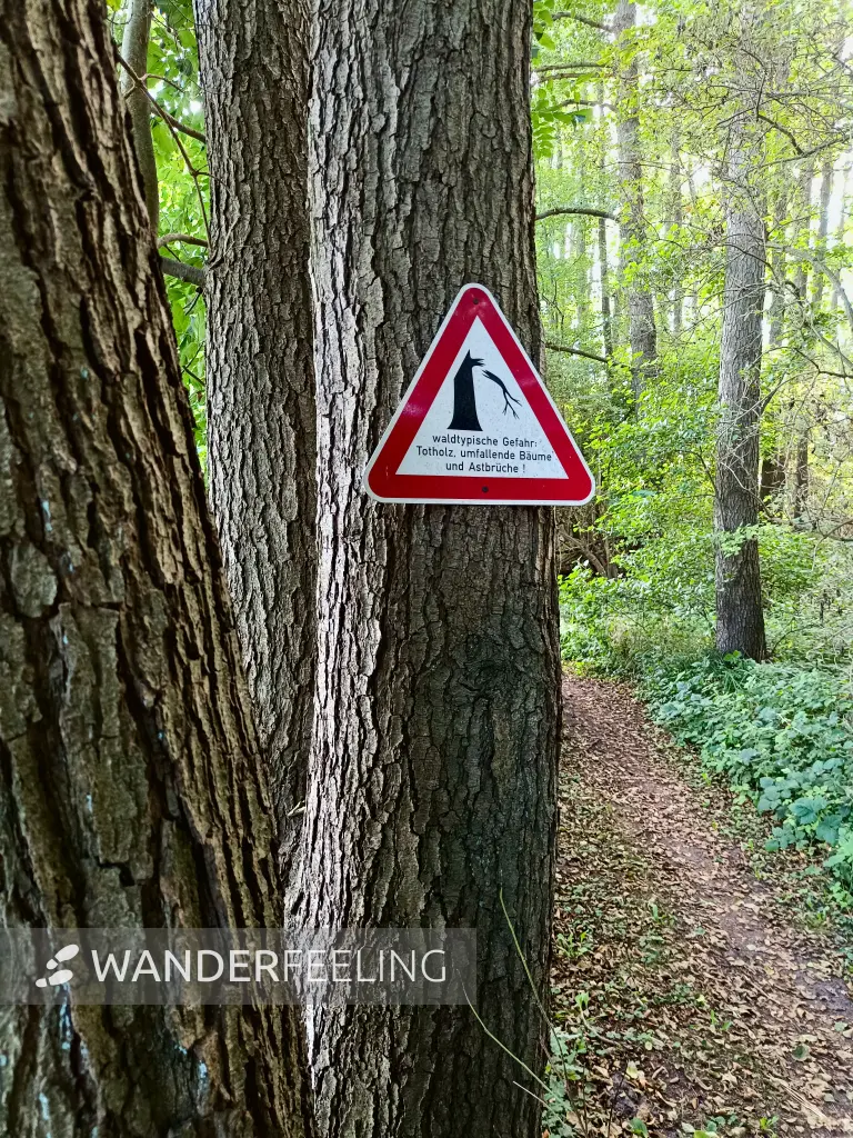 202508260-44 - Warnschild am Tauchowsee bei Alt Schwerin, Mecklenburgische Seenplatte, Mecklenburg-Vorpommern, Deutschland
