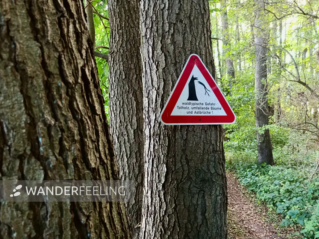 202508260-45 - Warnschild am Tauchowsee bei Alt Schwerin, Mecklenburgische Seenplatte, Mecklenburg-Vorpommern, Deutschland