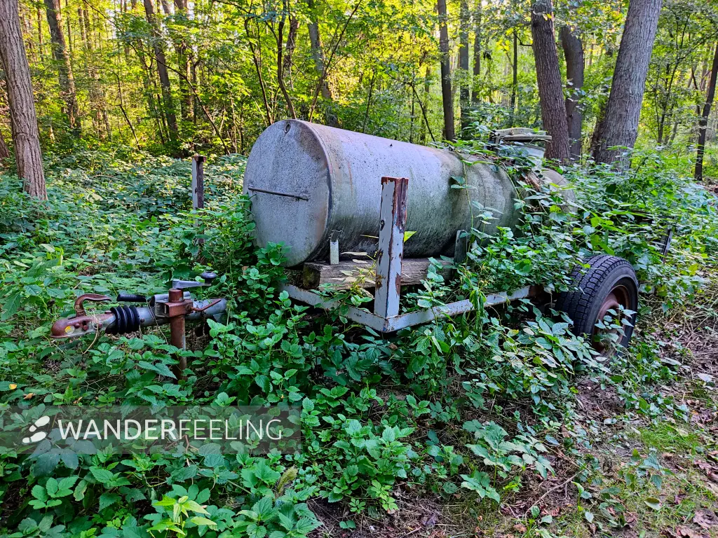 202309160-30 - Wasserwagen am Springsee bei Limsdorf, Seenland Oder-Spree, Brandenburg, Deutschland