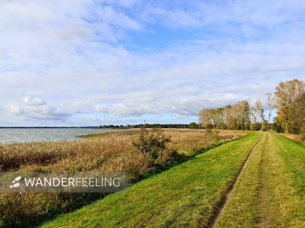 202310170-34 - Weg am Achterwasser bei Damerow, Usedom, Mecklenburg-Vorpommern, Deutschland