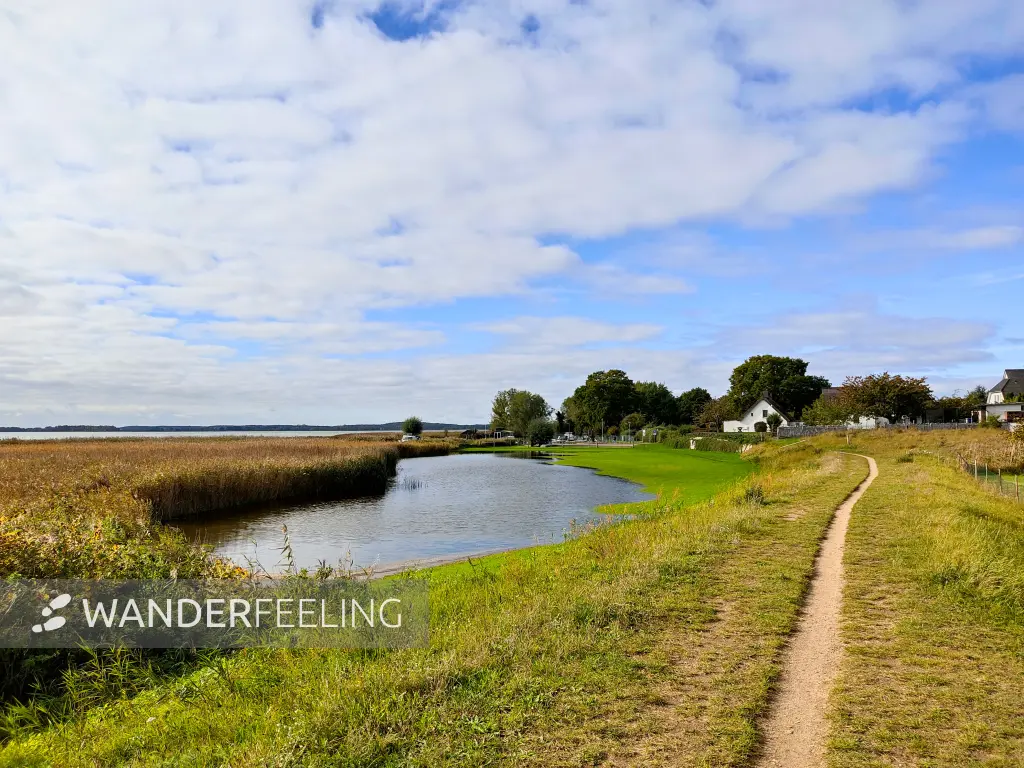 202310170-29 - Weg am Achterwasser bei Zempin, Usedom, Mecklenburg-Vorpommern, Deutschland