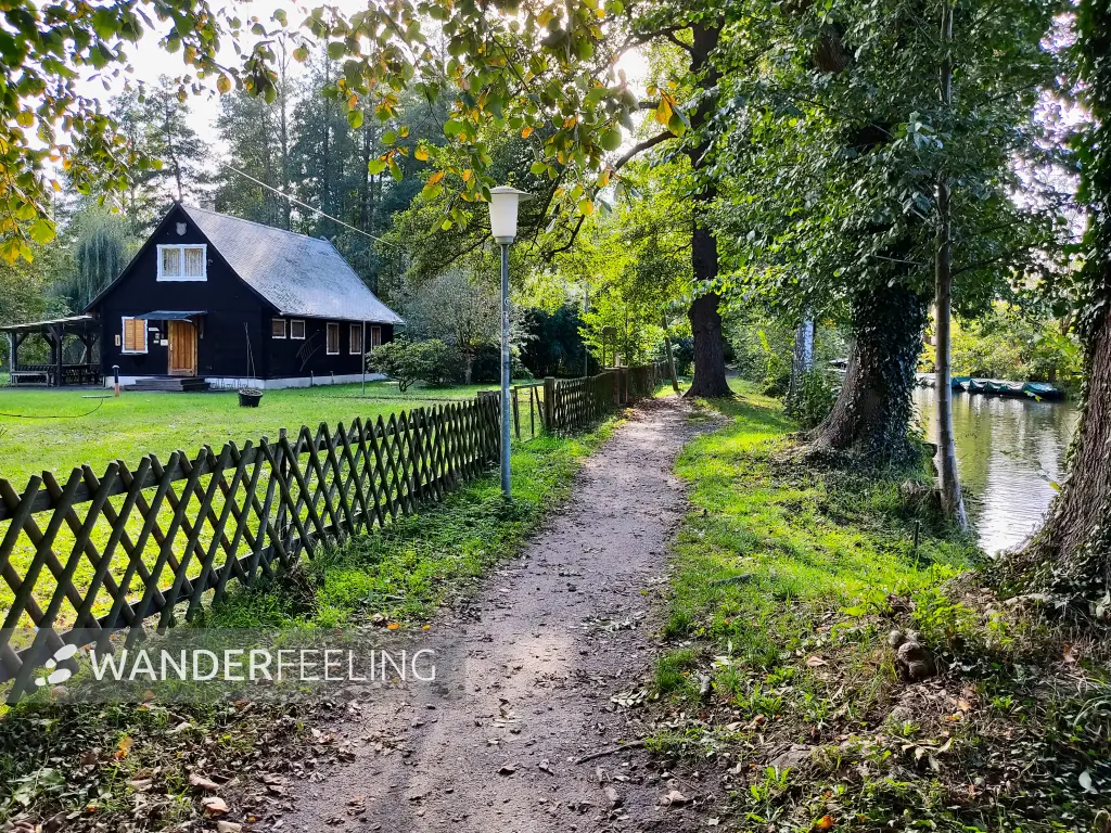 202310230-08 - Weg am Bürgerfließ bei Lübbenau, Spreewald, Brandenburg, Deutschland