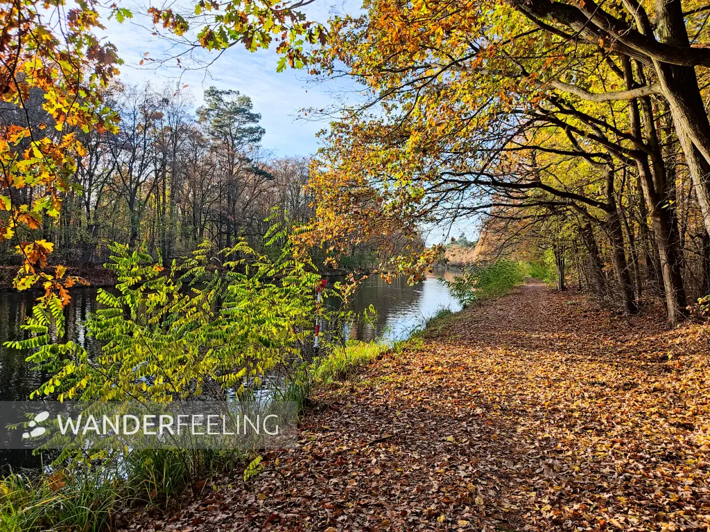 202311130-15 - Weg am Gosener Kanal bei Müggelheim, Berlin, Deutschland