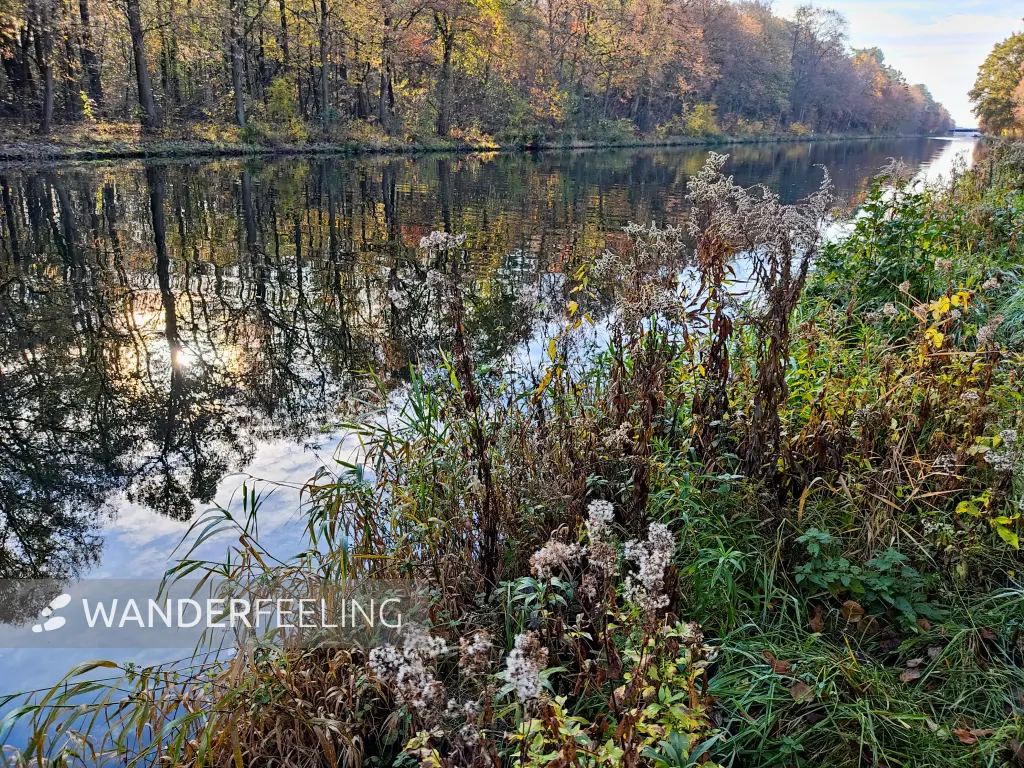 202311130-16 - Weg am Gosener Kanal bei Müggelheim, Berlin, Deutschland