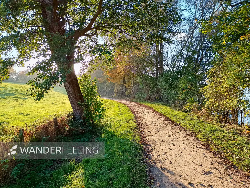 202410231-35 - Weg am Großen Eutiner See, Holsteinische Schweiz, Schleswig-Holstein, Deutschland