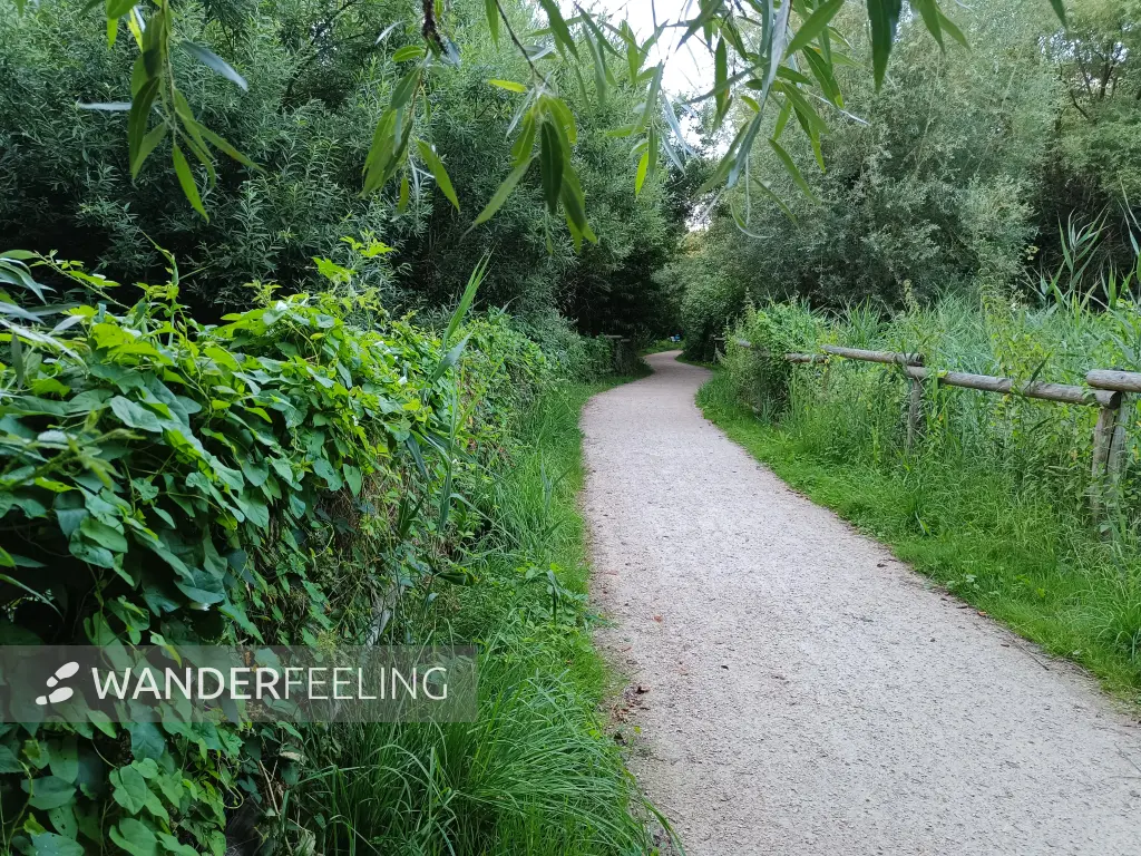 202607280-23 - Weg am Rudower Fließ in Rudow, Berlin, Deutschland