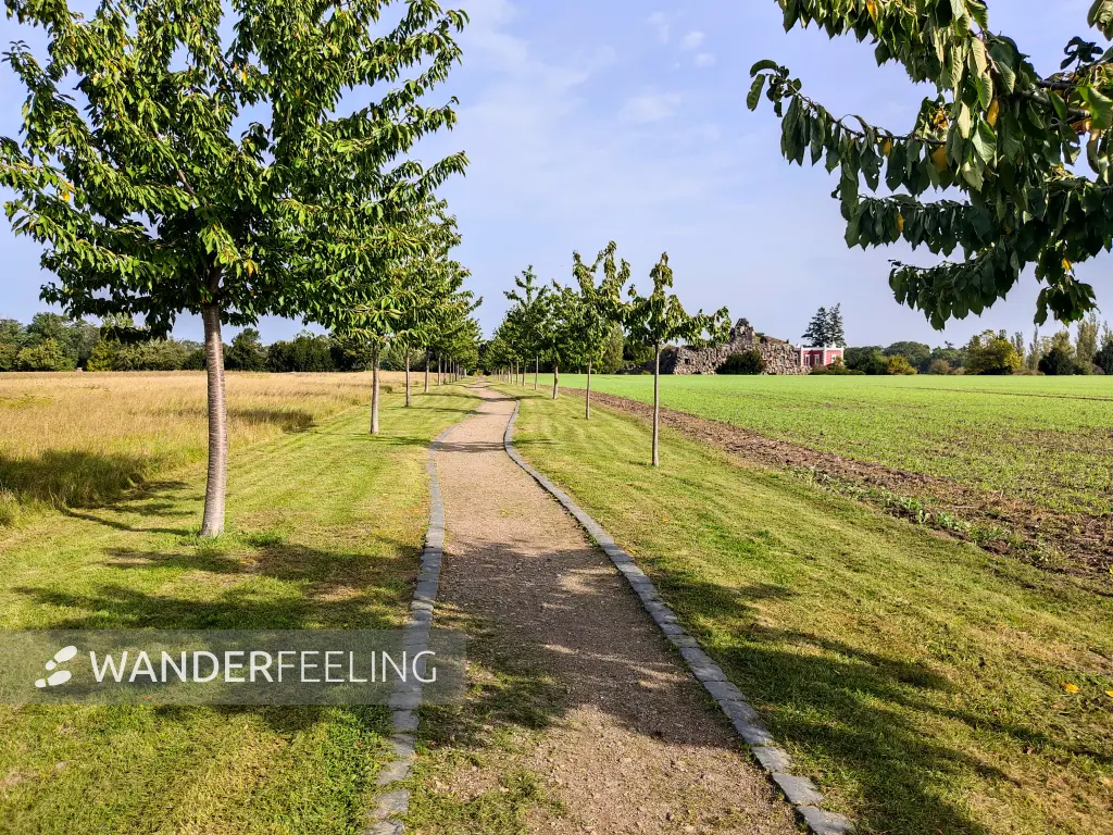 202310110-01 - Weg am Wörlitzer Park bei Wörlitz, Anhalt-Dessau-Wittenberg, Sachen-Anhalt, Deutschland