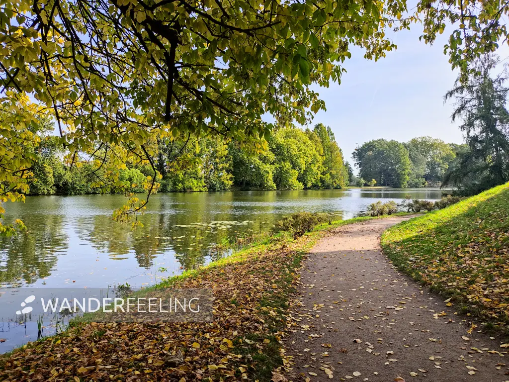 202310110-03 - Weg am Wörlitzer See im Wörlitzer Park bei Wörlitz, Anhalt-Dessau-Wittenberg, Sachen-Anhalt, Deutschland