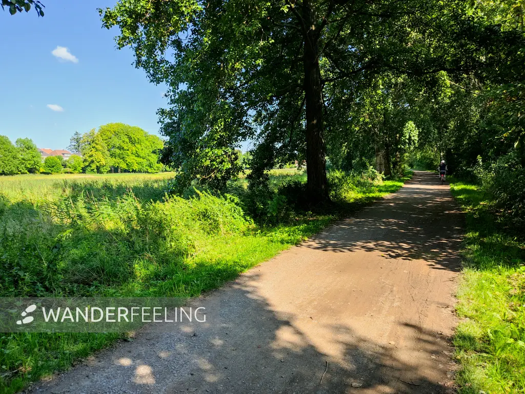 202308181-11 - Weg an den Dammaschwiesen in Celle, Lüneburger Heide, Niedersachsen, Deutschland