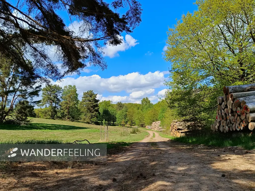 202605040-20 - Weg an den Oberen Seen bei Sternberg, Mecklenburgische Seenplatte, Mecklenburg-Vorpommern, Deutschland