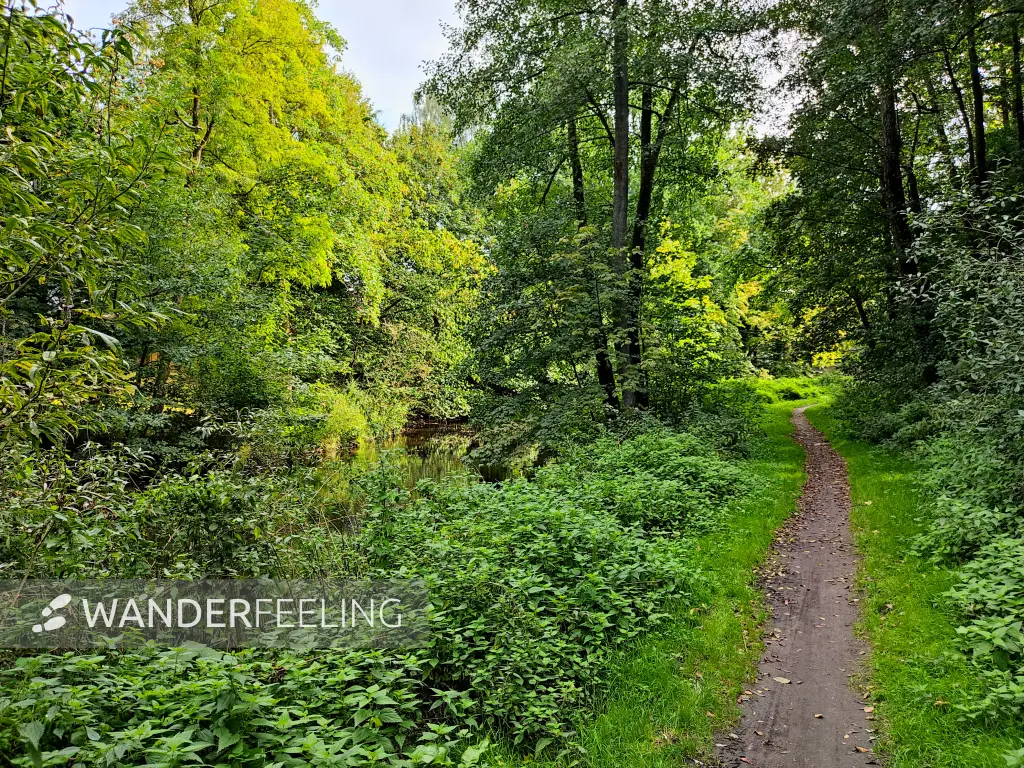 202309230-42 - Weg an der Bille bei Reinbek, Herzogtum Lauenburg und Stormarn, Schleswig-Holstein, Deutschland
