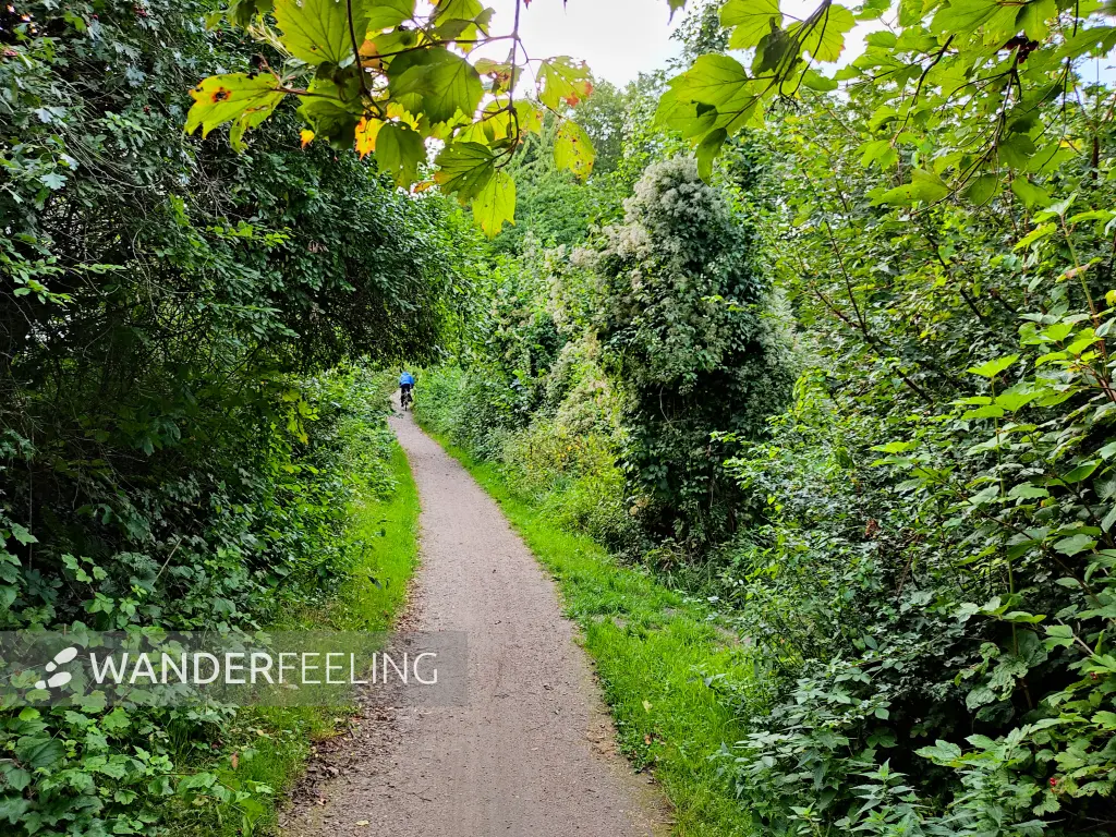 202309230-47 - Weg an der Bille in Bergedorf, Hamburg, Deutschland