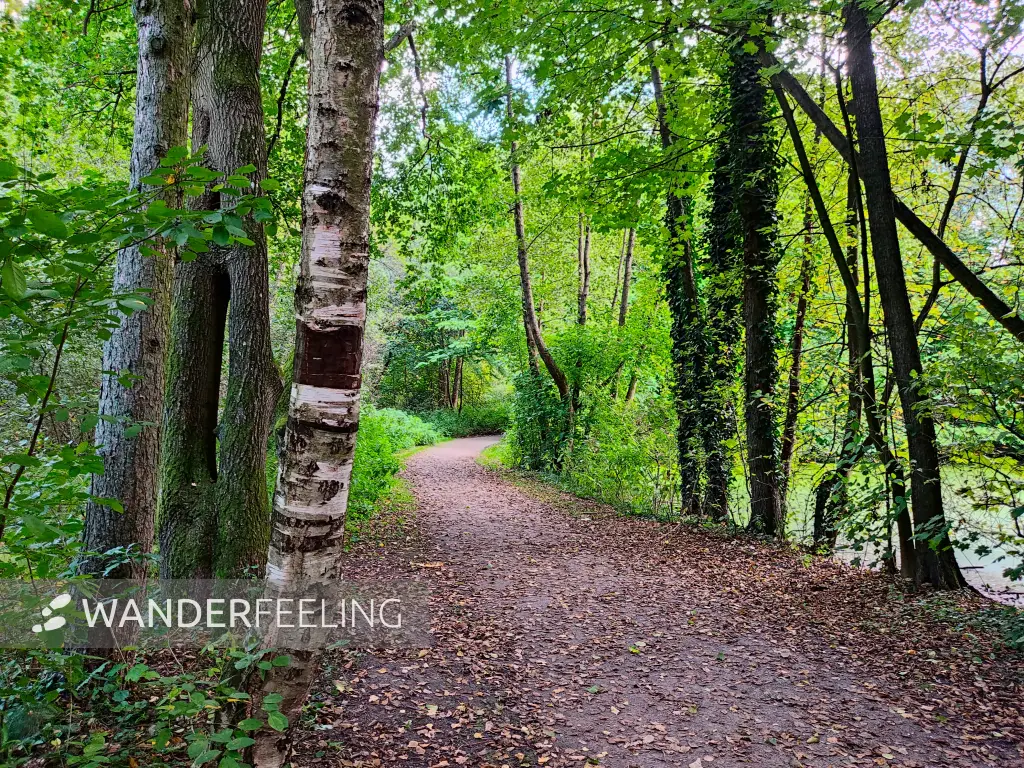 202309230-50 - Weg an der Bille in Bergedorf, Hamburg, Deutschland