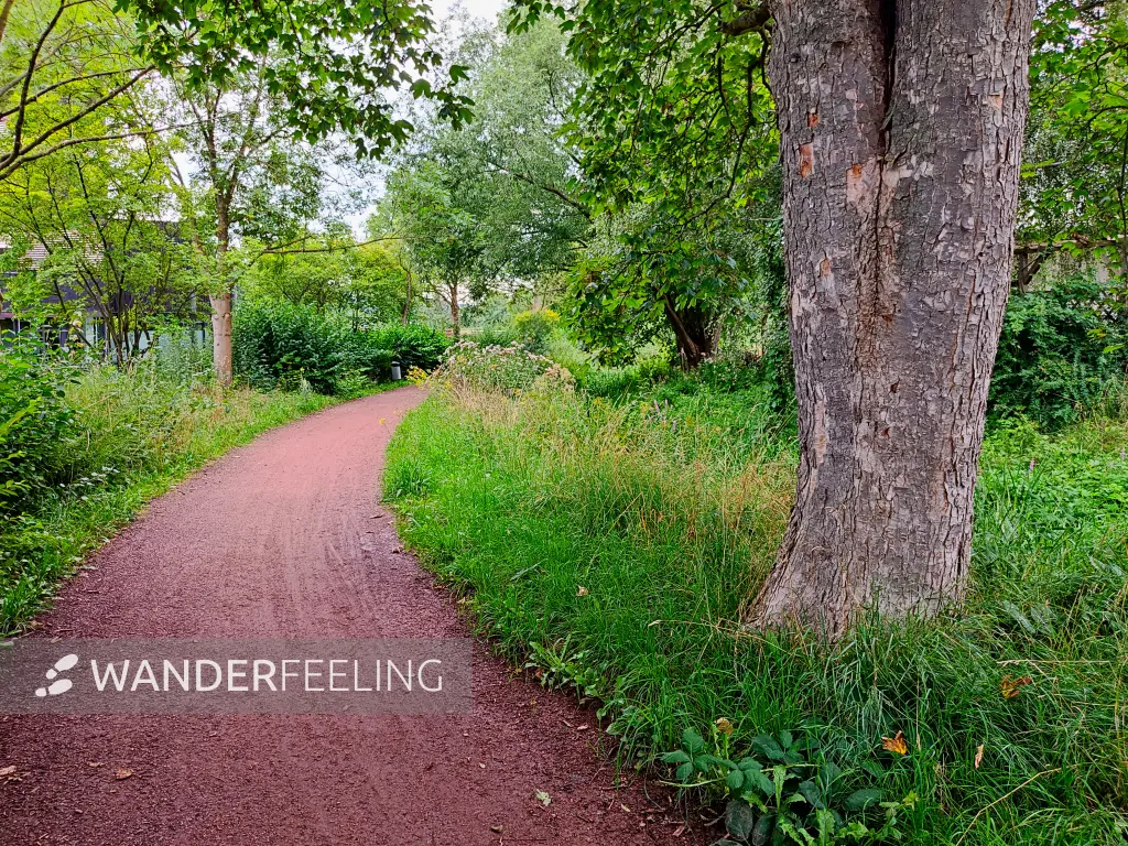 202308151-02 - Weg an der Hamel in Hameln, Weserbergland, Niedersachsen, Deutschland