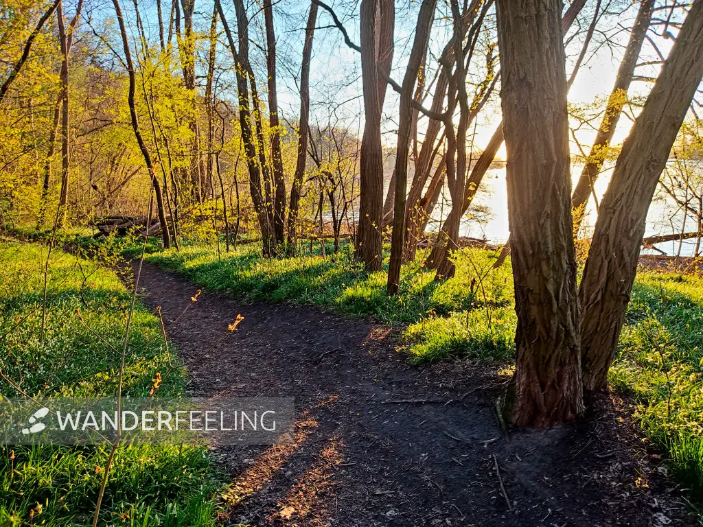 202304190-04 - Weg an der Havel, Potsdam, Brandenburg, Deutschland