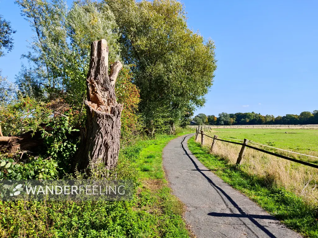 202210040-40 - Weg an der Oker bei Stöckheim, Niedersachsen, Deutschland