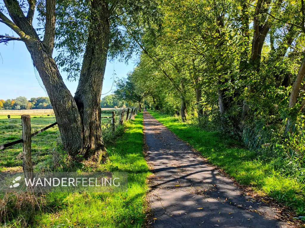 202210040-41 - Weg an der Oker bei Stöckheim, Niedersachsen, Deutschland