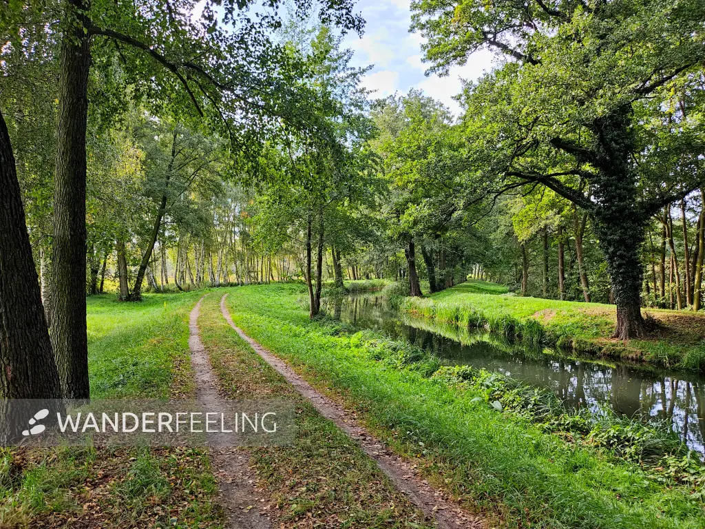 202310060-11 - Weg an der Radduscher Kahnfahrt bei Kaupen, Spreewald, Brandenburg, Deutschand