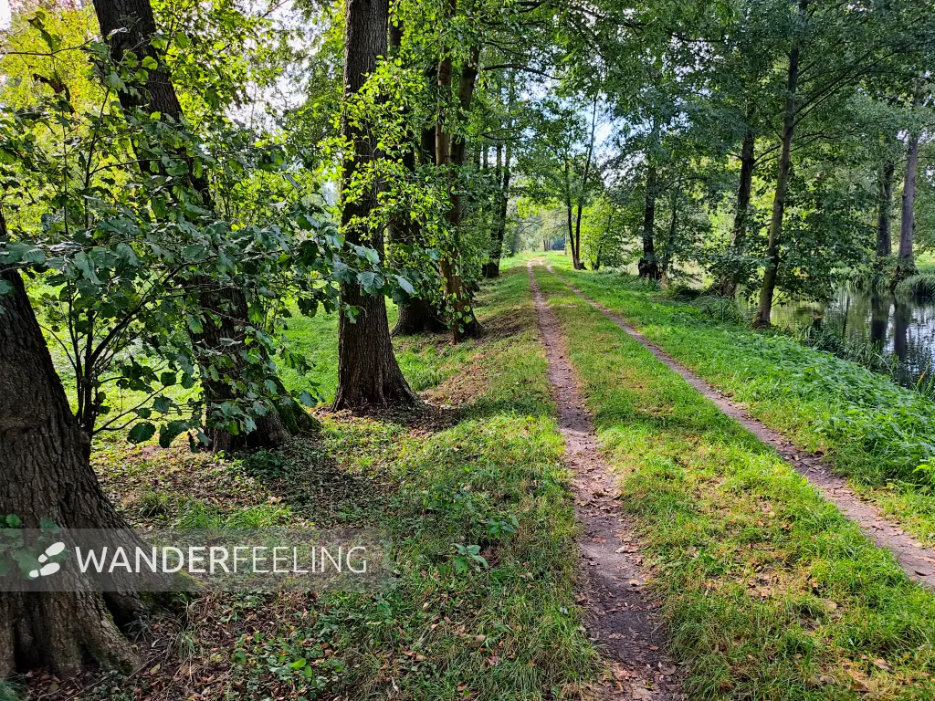 202310060-06 - Weg an der Radduscher Kahnfahrt bei Raddusch, Spreewald, Brandenburg, Deutschand