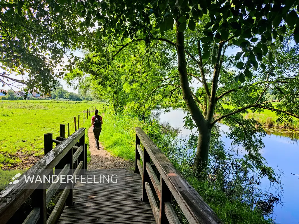 202308220-05 - Weg an der Schwinge bei Stade, Niedersachsen, Deutschland
