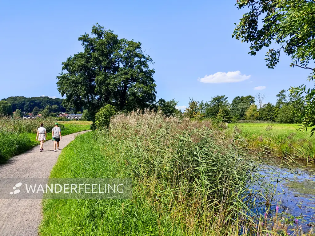 202308220-15 - Weg durch die Schwingewiesen bei Stade, Niedersachsen, Deutschland