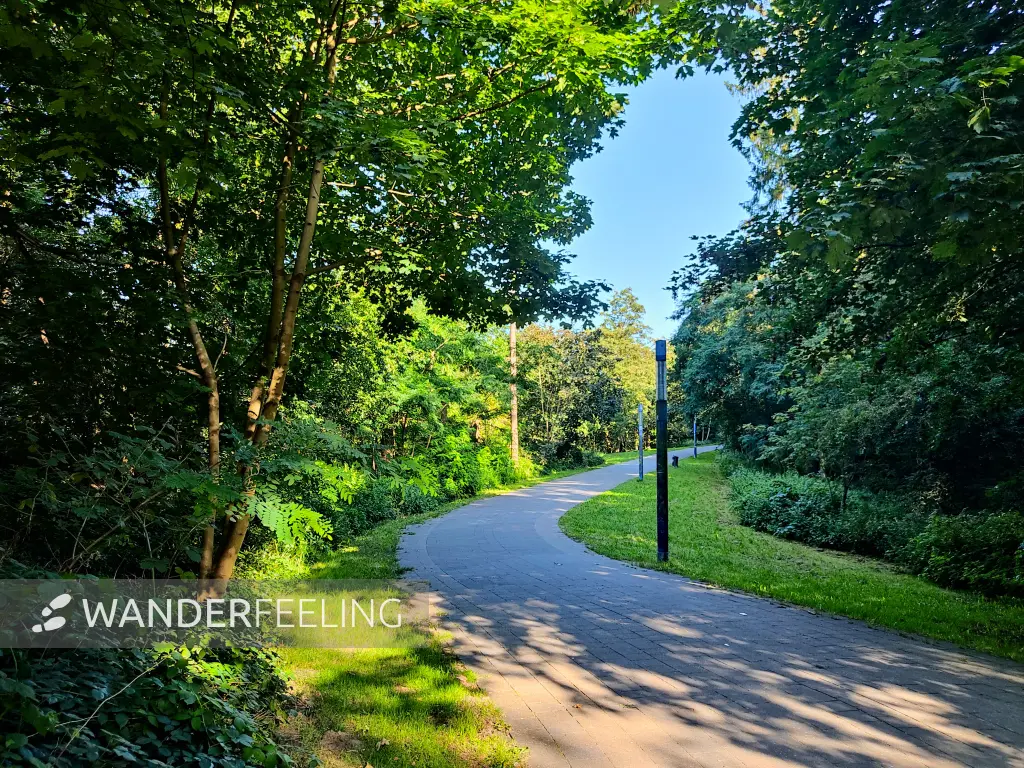 202308221-02 - Weg im Altonaer Volkspark in Altona, Hamburg, Deutschland