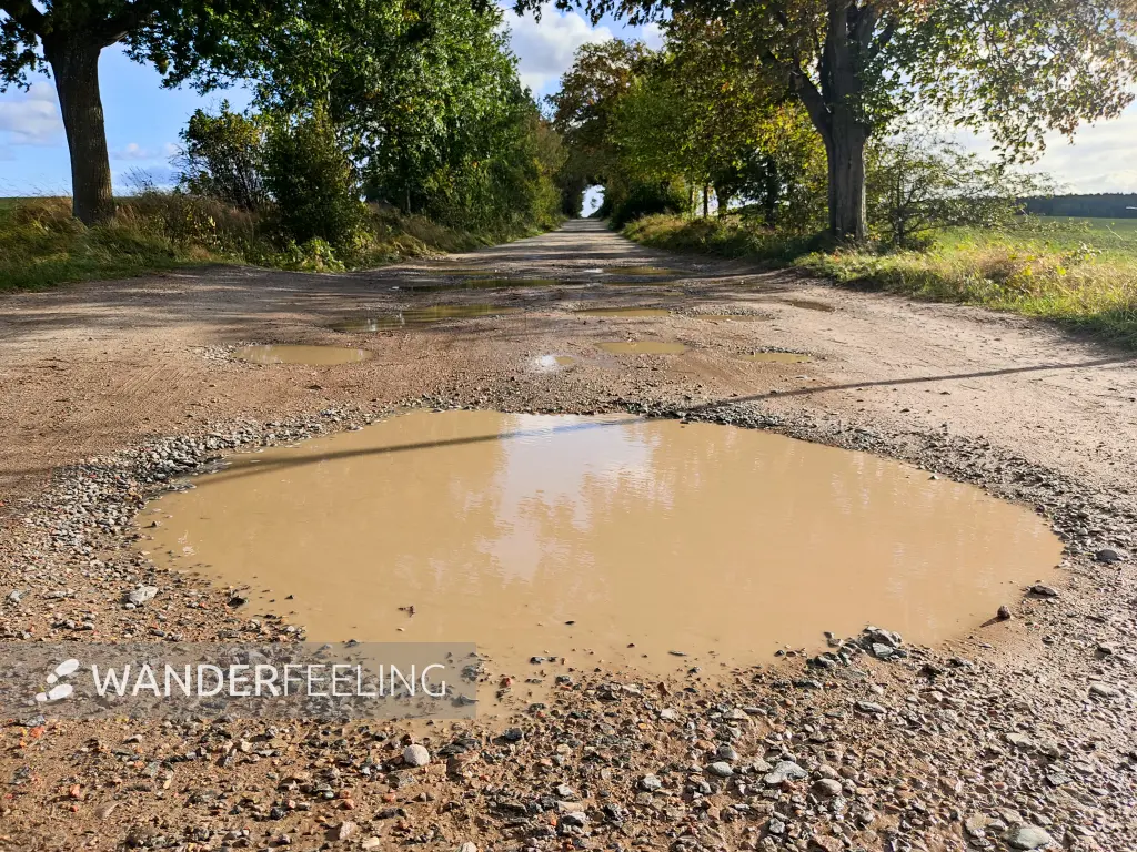 202310160-23 - Weg von Putbus nach Neuendorf, Rügen, Mecklenburg-Vorpommern, Deutschland