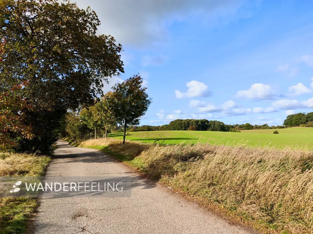 202310160-27 - Weg von Putbus nach Neuendorf, Rügen, Mecklenburg-Vorpommern, Deutschland