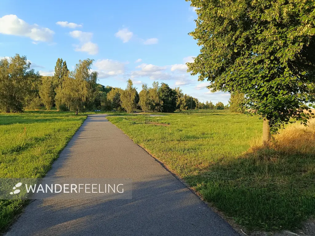 202607280-19 - Weg zum Dörferblick in Rudow, Fläming, Brandenburg, Deutschland