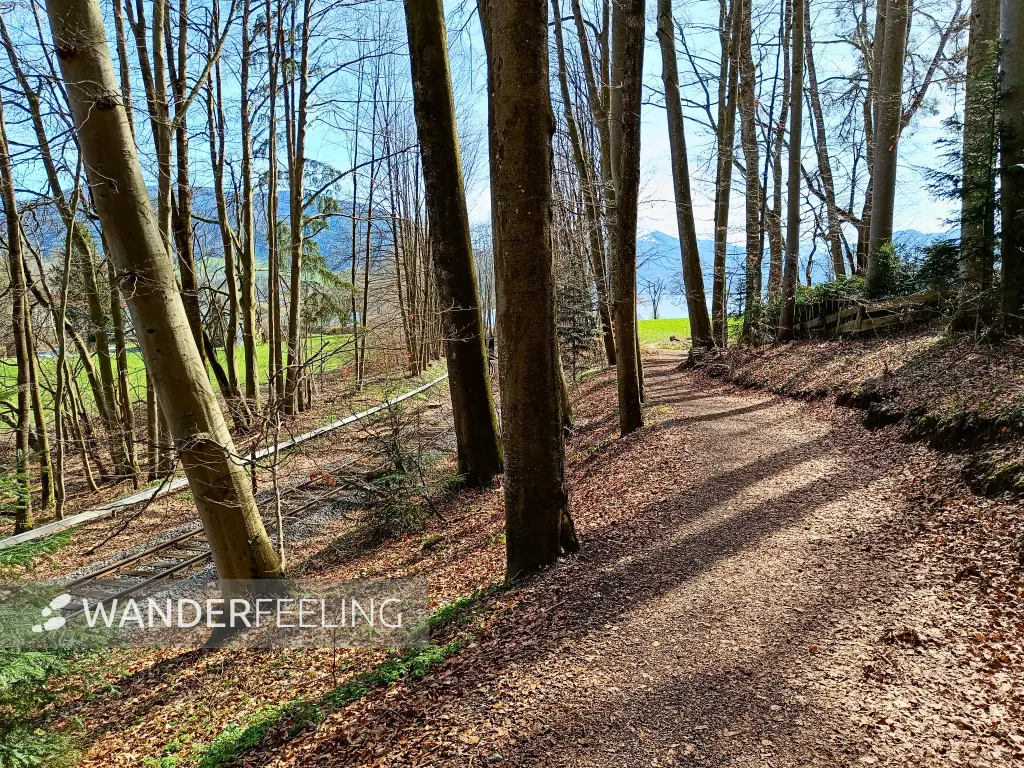 202403201-04 - Weg zum Tegernsee bei Gmund, Oberbayern, Bayern, Deutschland