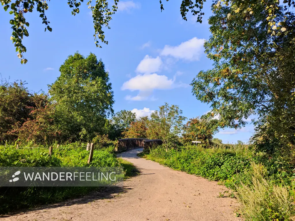 202309241-01 - Weg zur Boberger Niederung, Hamburg, Deutschland